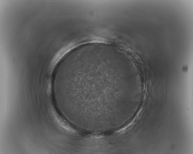 X0000089340247200706221123
