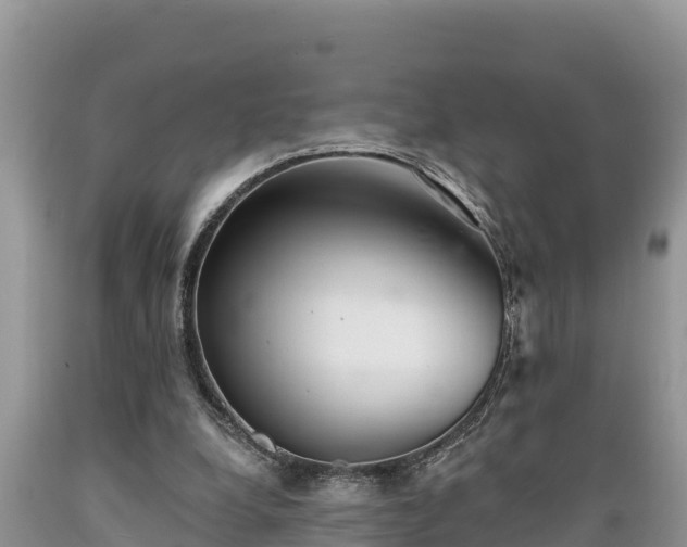 X0000089340248200706221123