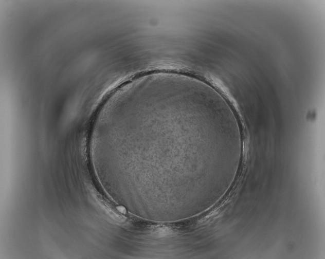 X0000089340249200706221123