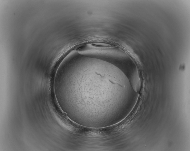 X0000089340250200706221123