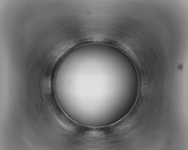 X0000089340251200706221123