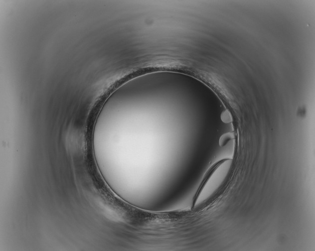 X0000089340252200706221123