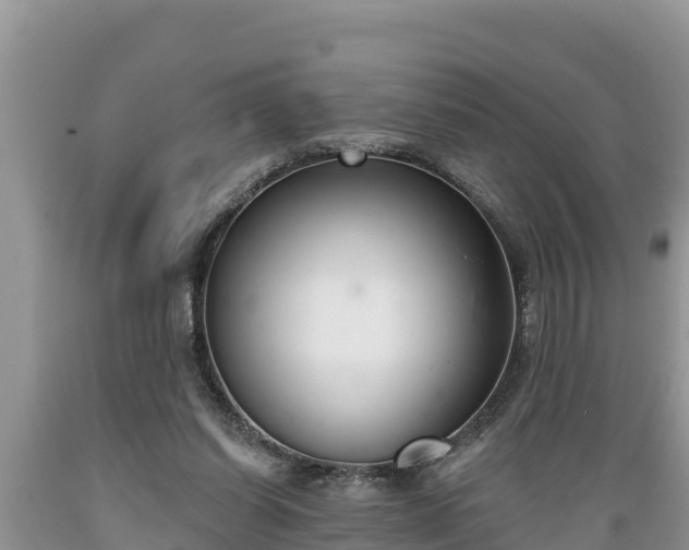 X0000089340254200706221123