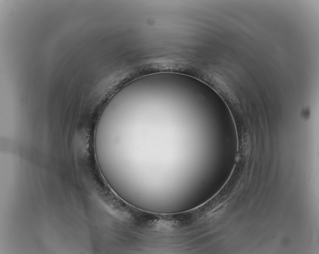 X0000089340255200706221123