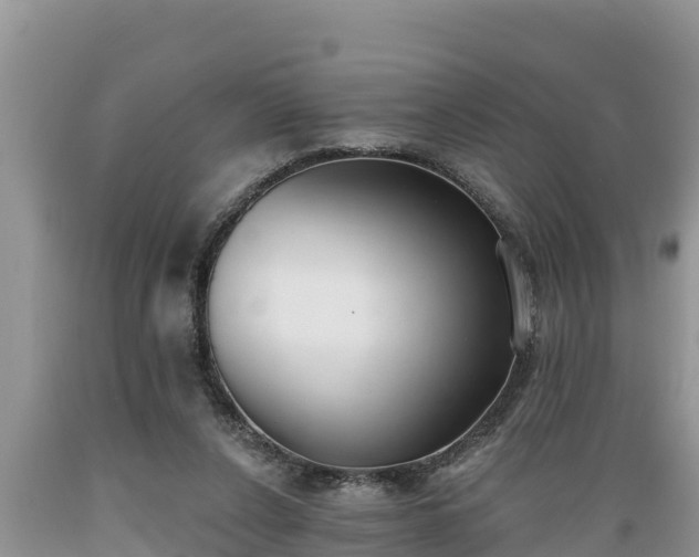 X0000089340256200706221123