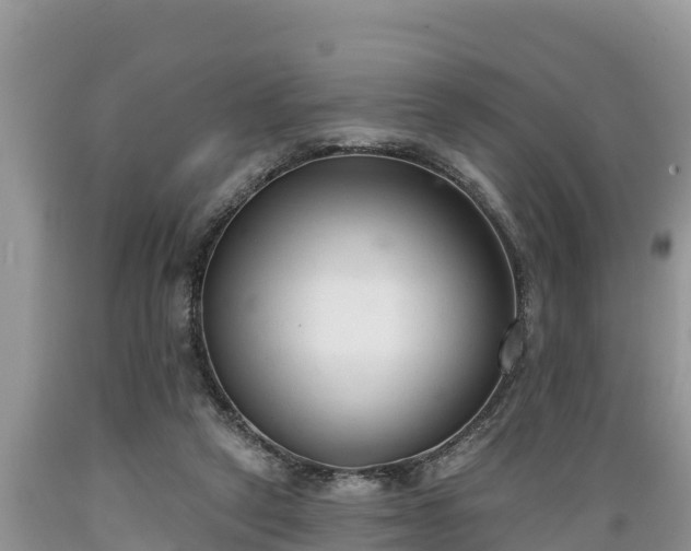 X0000089340257200706221123