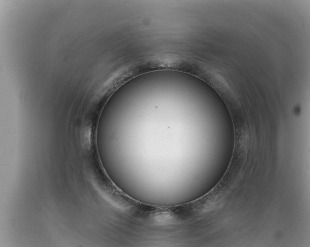 X0000089340262200706221123