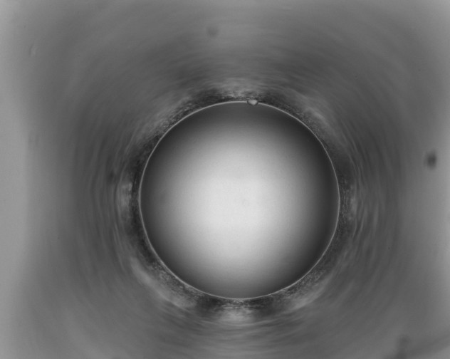 X0000089340263200706221123