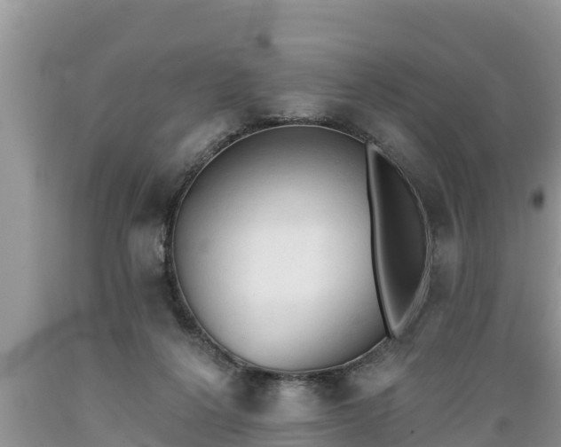 X0000089340264200706221123