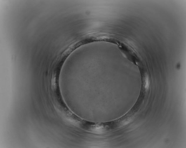 X0000089340267200706221124