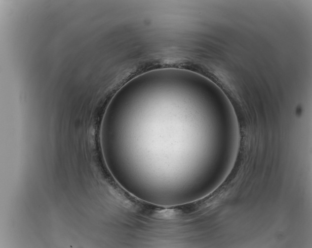X0000089340269200706221124