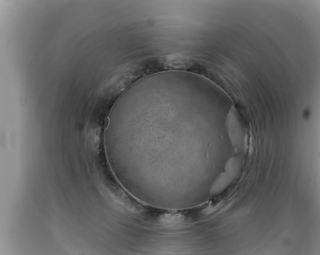 X0000089340271200706221124