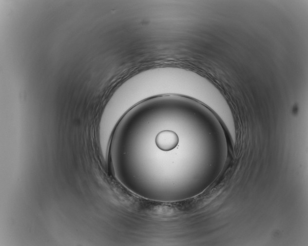 X0000089340272200706221124