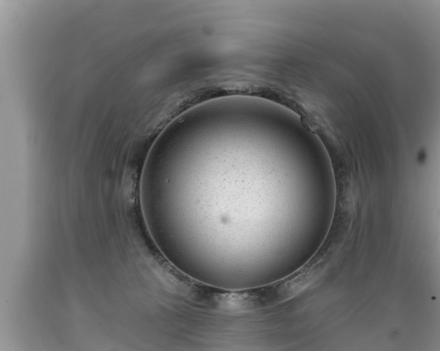 X0000089340273200706221124