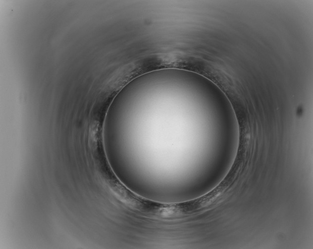 X0000089340275200706221124