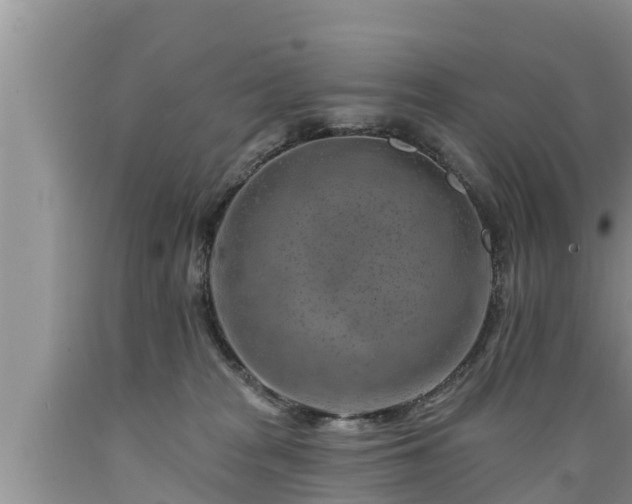 X0000089340277200706221124