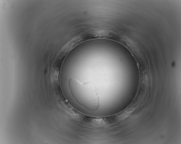 X0000089340281200706221124