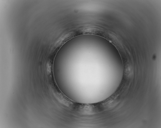 X0000089340282200706221124