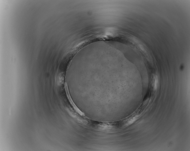 X0000089340284200706221124