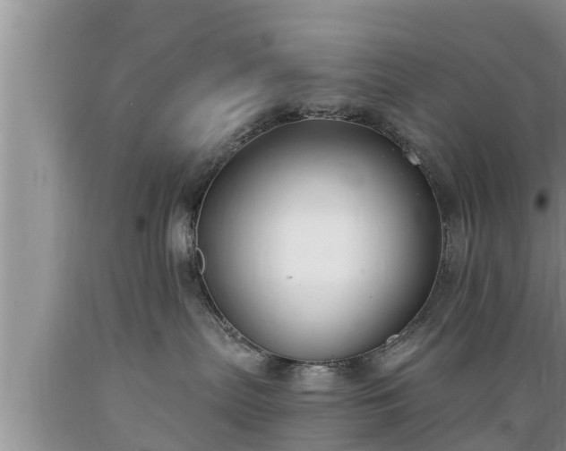 X0000089340287200706221124