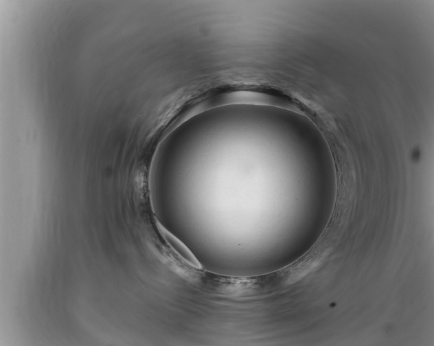 X0000089340288200706221124