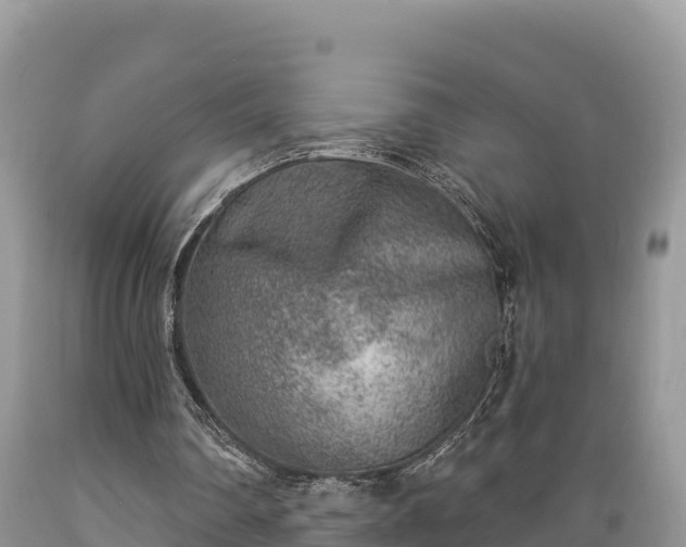 X0000089340290200706221123