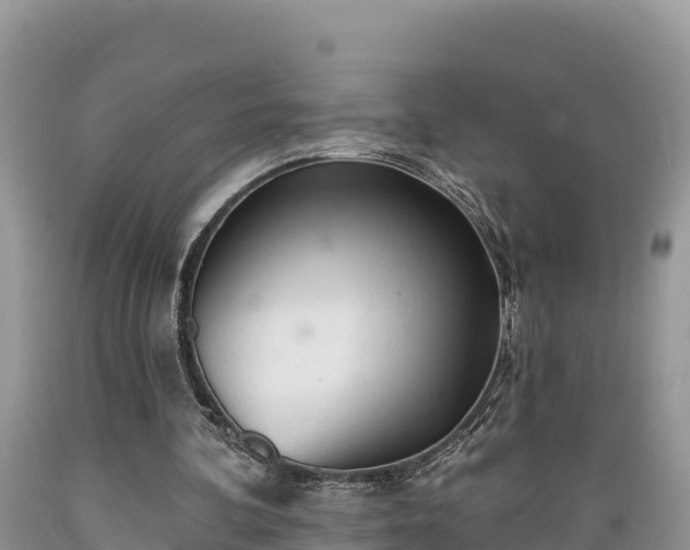 X0000089340292200706221123