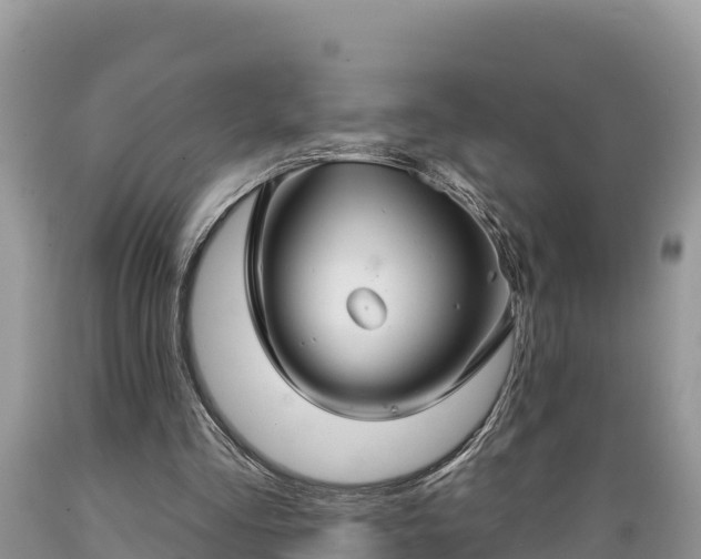 X0000089340293200706221123