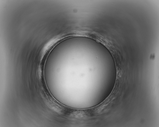 X0000089340294200706221123