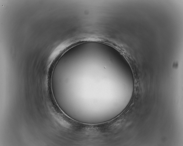 X0000089340296200706221123