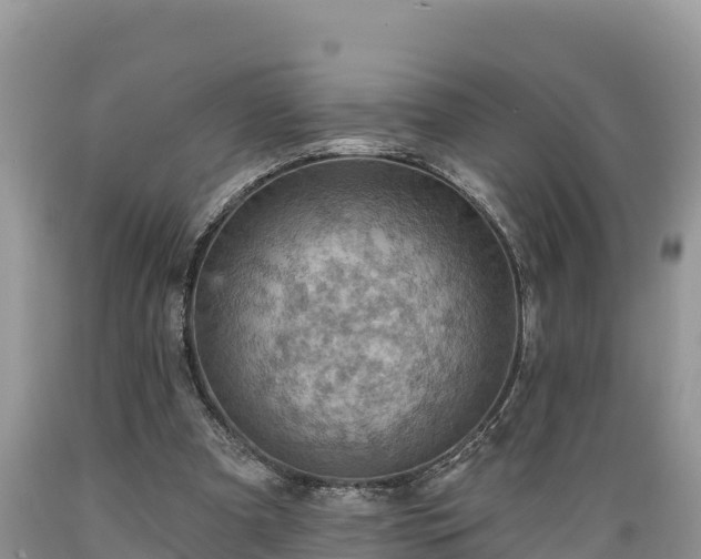 X0000089340297200706221123