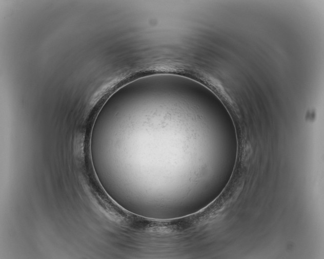 X0000089340299200706221123