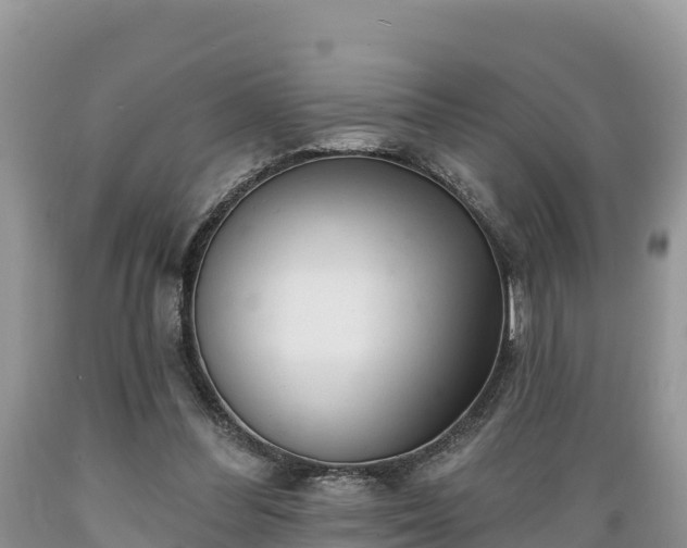 X0000089340300200706221123