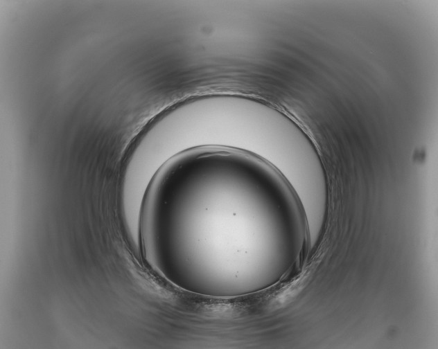 X0000089340301200706221123