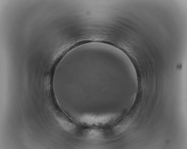 X0000089340303200706221123