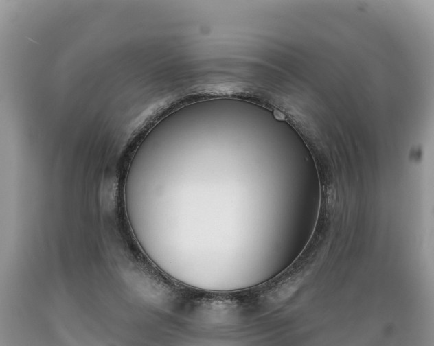 X0000089340304200706221123