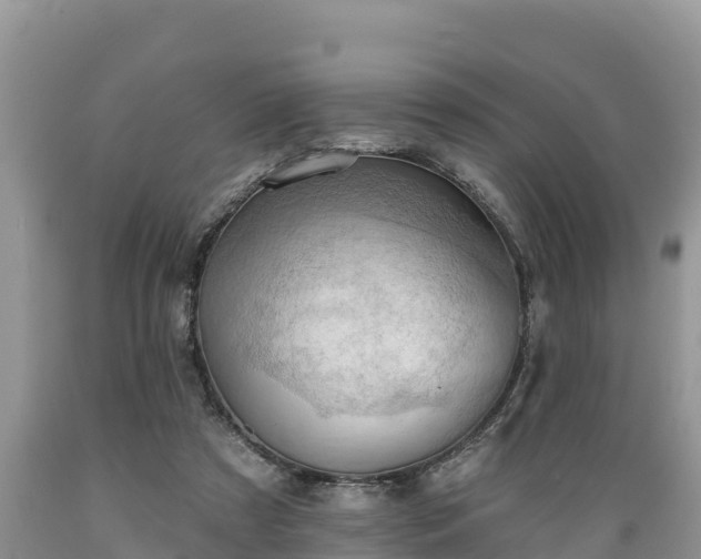 X0000089340305200706221123