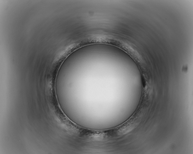 X0000089340306200706221123