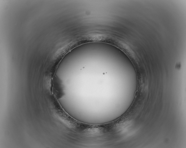 X0000089340307200706221123