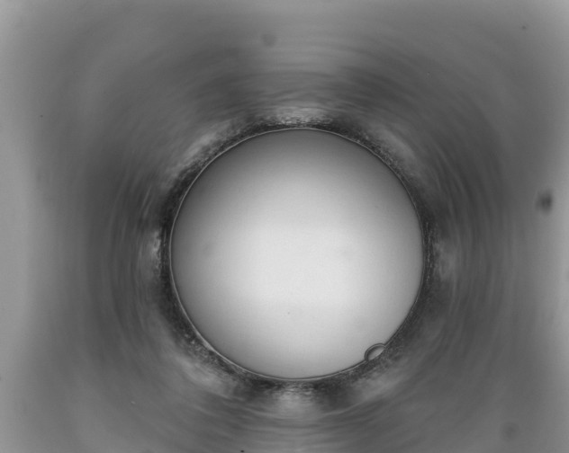 X0000089340308200706221123
