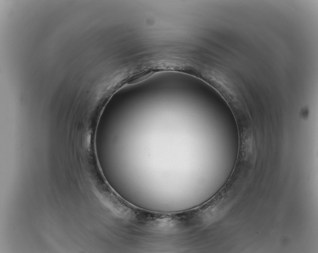 X0000089340310200706221123