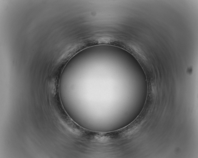 X0000089340311200706221123