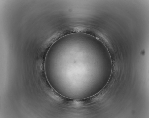 X0000089340313200706221123