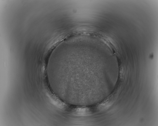 X0000089340314200706221123