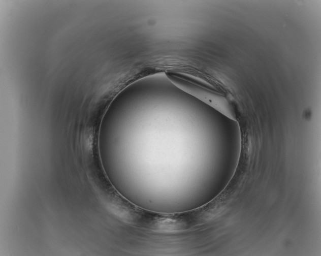 X0000089340315200706221123