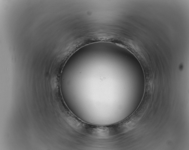 X0000089340317200706221123