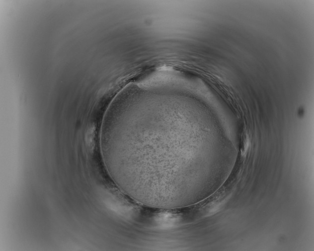 X0000089340319200706221123