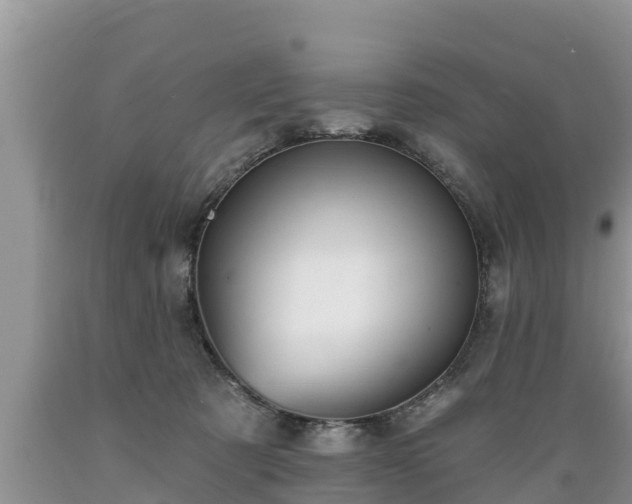 X0000089340321200706221123