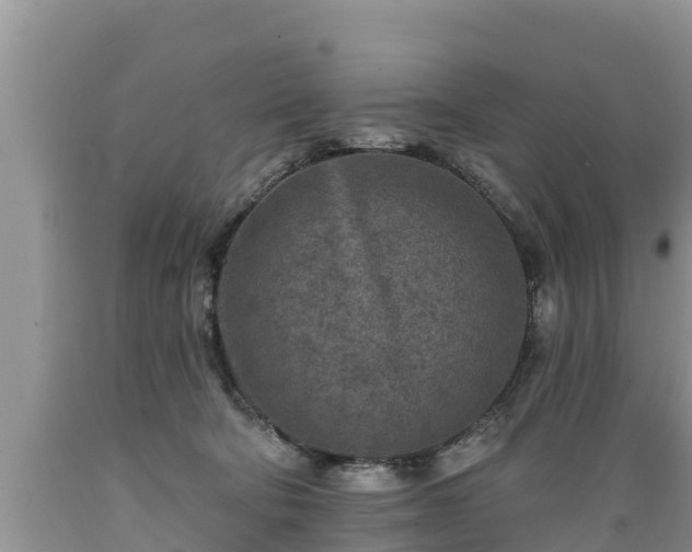 X0000089340322200706221123