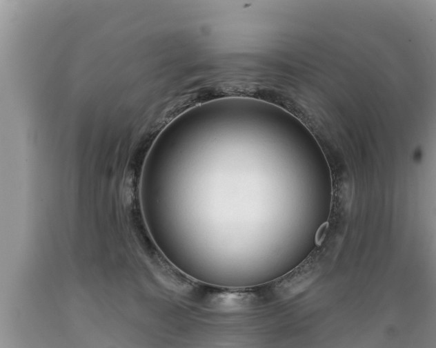 X0000089340323200706221123
